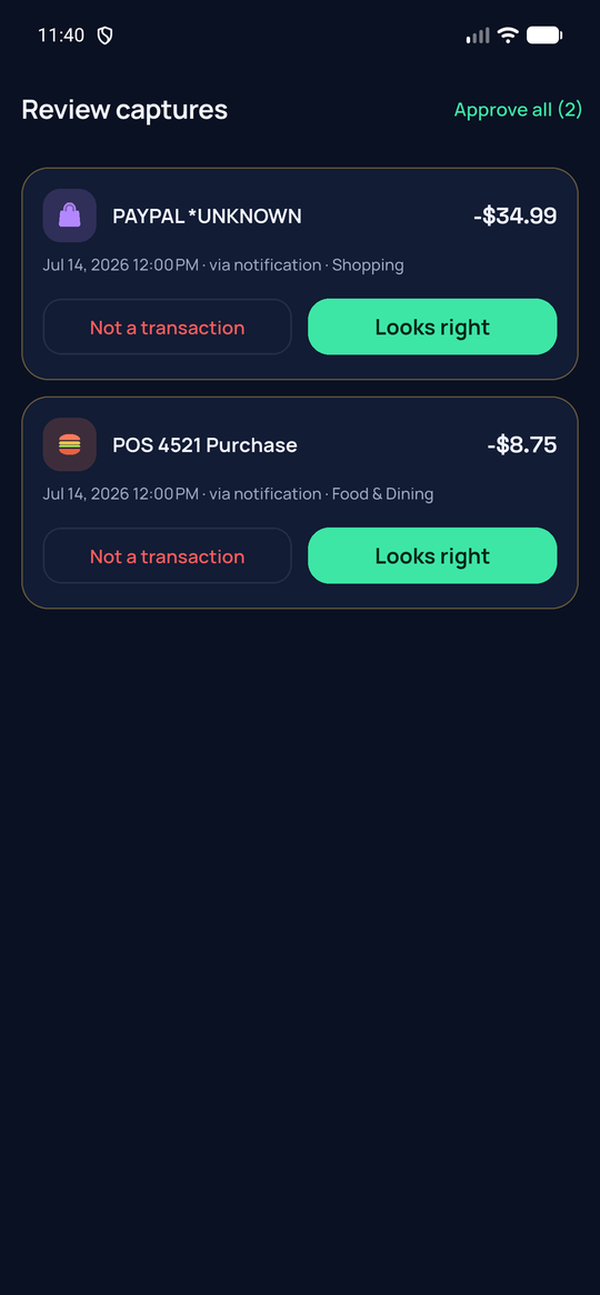 Spendkin review queue, dark theme